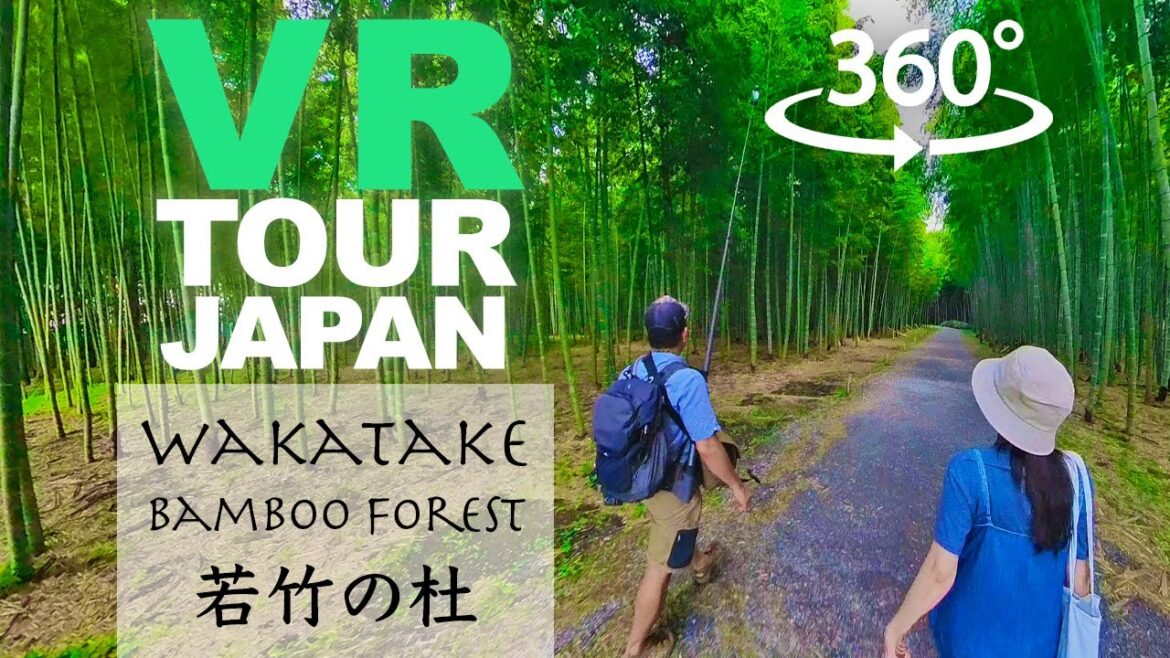【Insta360 X3】skillism VR/360 – Four Seasons Bamboo Forest Wakayama Farm, TOCHIGI 【Insta360 X3】skillism VR/360 - Four Seasons Bamboo Forest Wakayama Farm, TOCHIGI