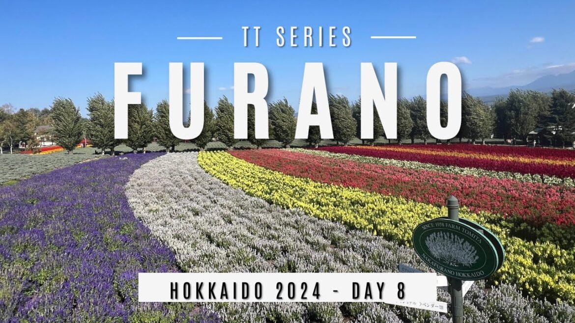 Hokkaido Trip 2024 – Day 8 (Furano – Biei) @thomasteytakestime Hokkaido Trip 2024 - Day 8 (Furano - Biei) @thomasteytakestime