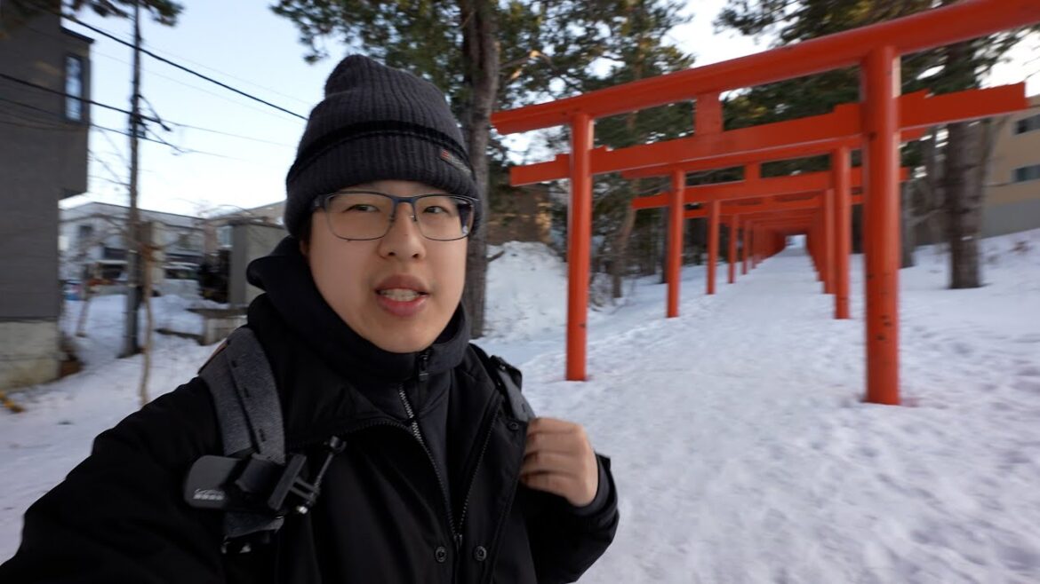 These are the BEST views of Sapporo! These are the BEST views of Sapporo!