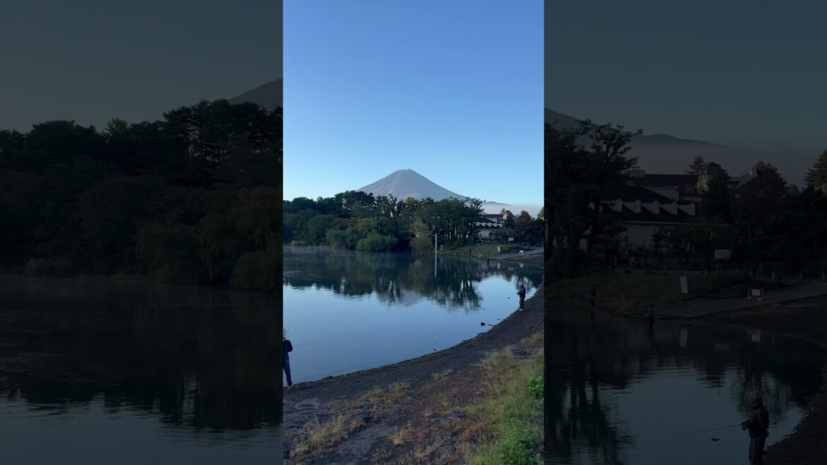 Fuji in the morning #fuji #japan