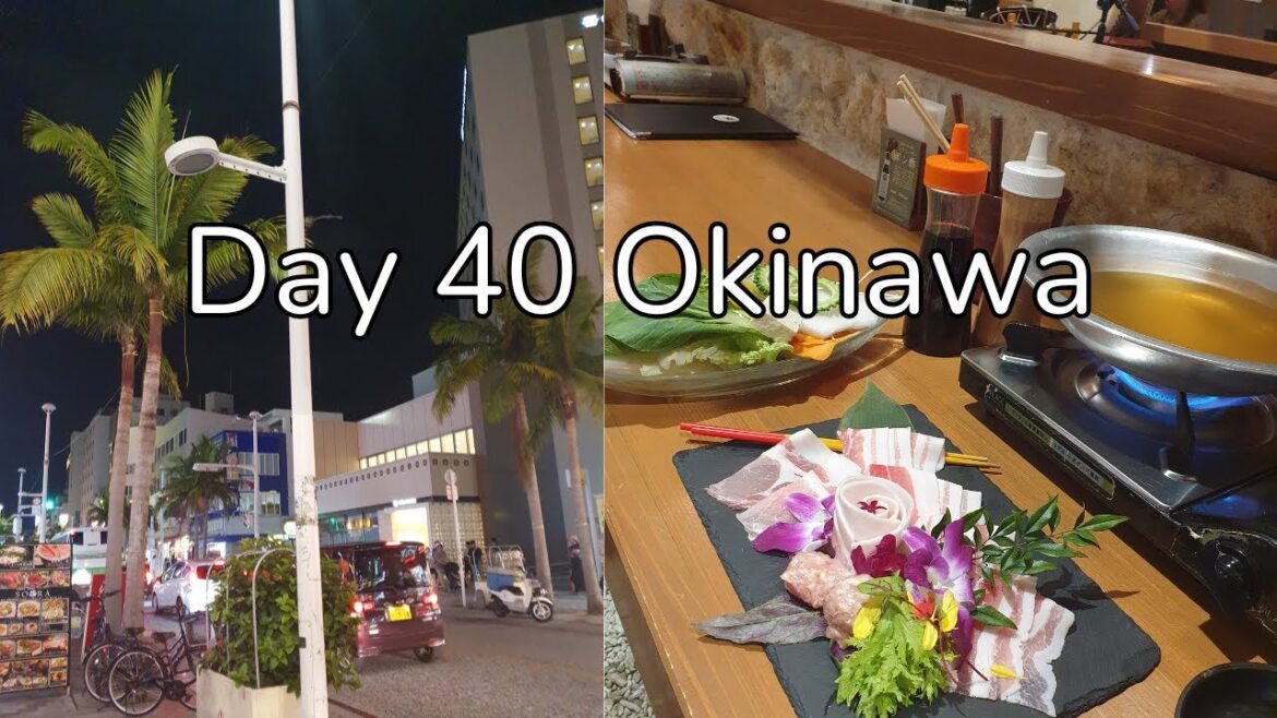 Solo travel vlog Day 40 Okinawa Solo travel vlog Day 40 Okinawa