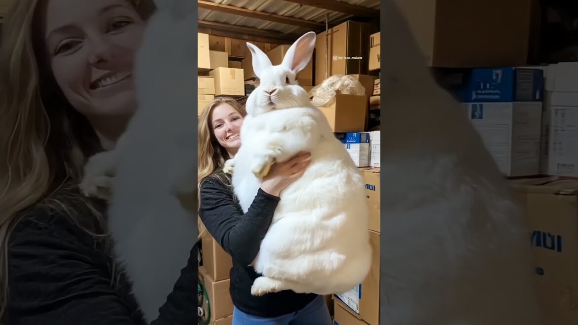 Unexplored Places on Earth #travel #adventure #explore #nature #shorts