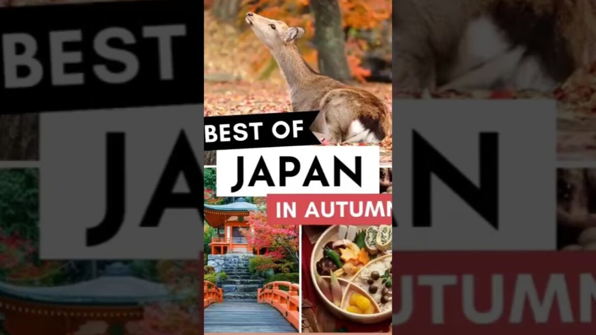 Best places to visit in japan #traveldestinations #trending