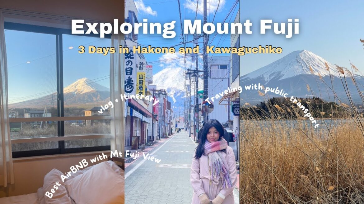 Mt Fuji 3 Days Itinerary in Spring | Hakone + Kawaguchiko | Japan Vlog 2