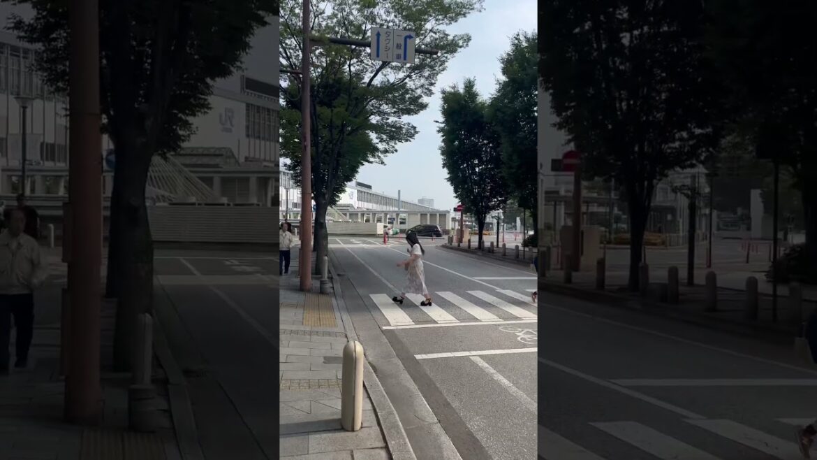 일본 오카야마 모습 #일본 #오카야마 #japan #okayama