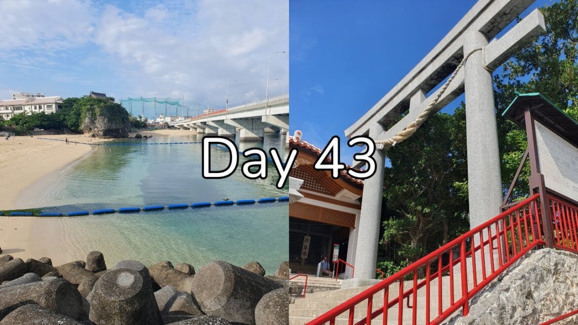Solo travel vlogs Day 43