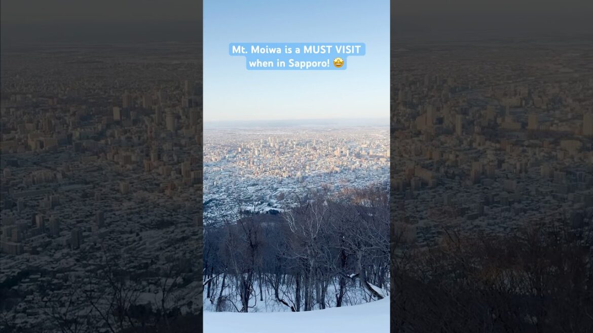 The Highest Views in Sapporo Japan 🤩 #shorts #japan #travel