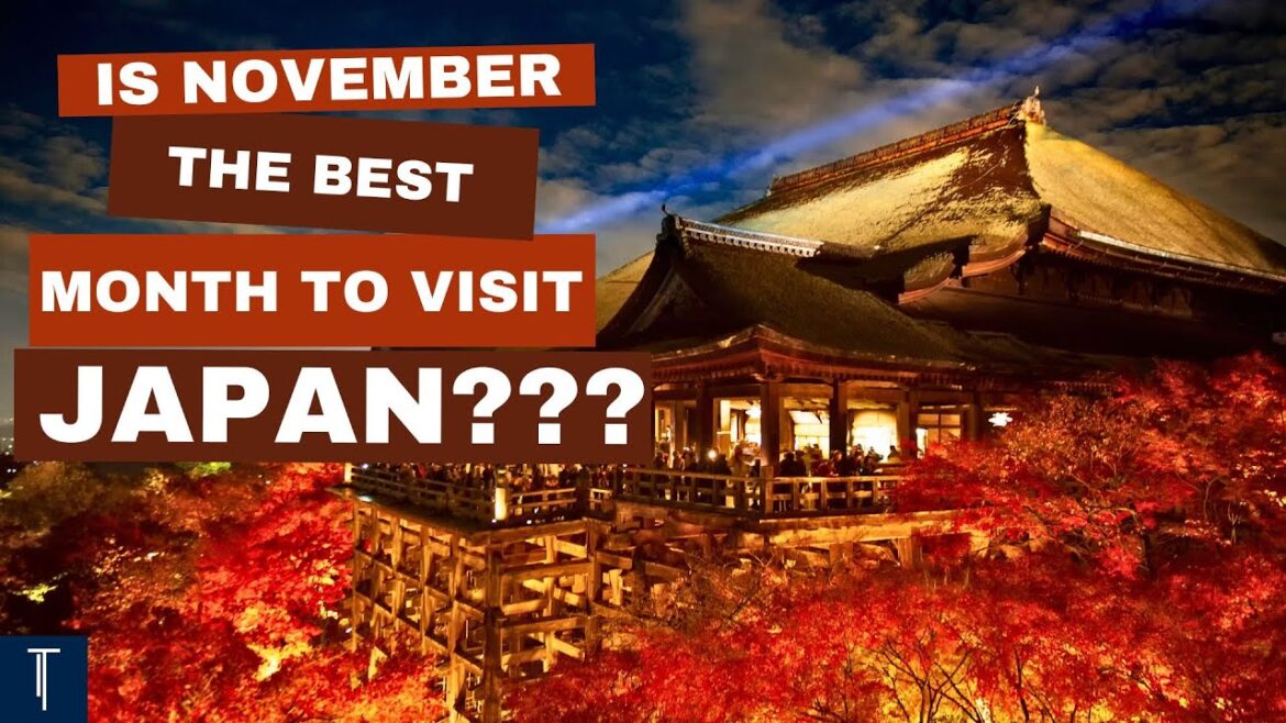 IS November 2024 the PERFECT Time to Explore Japan?