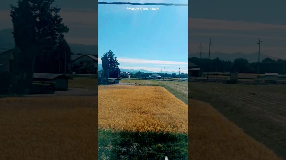 #新幹線 #akita #shorts