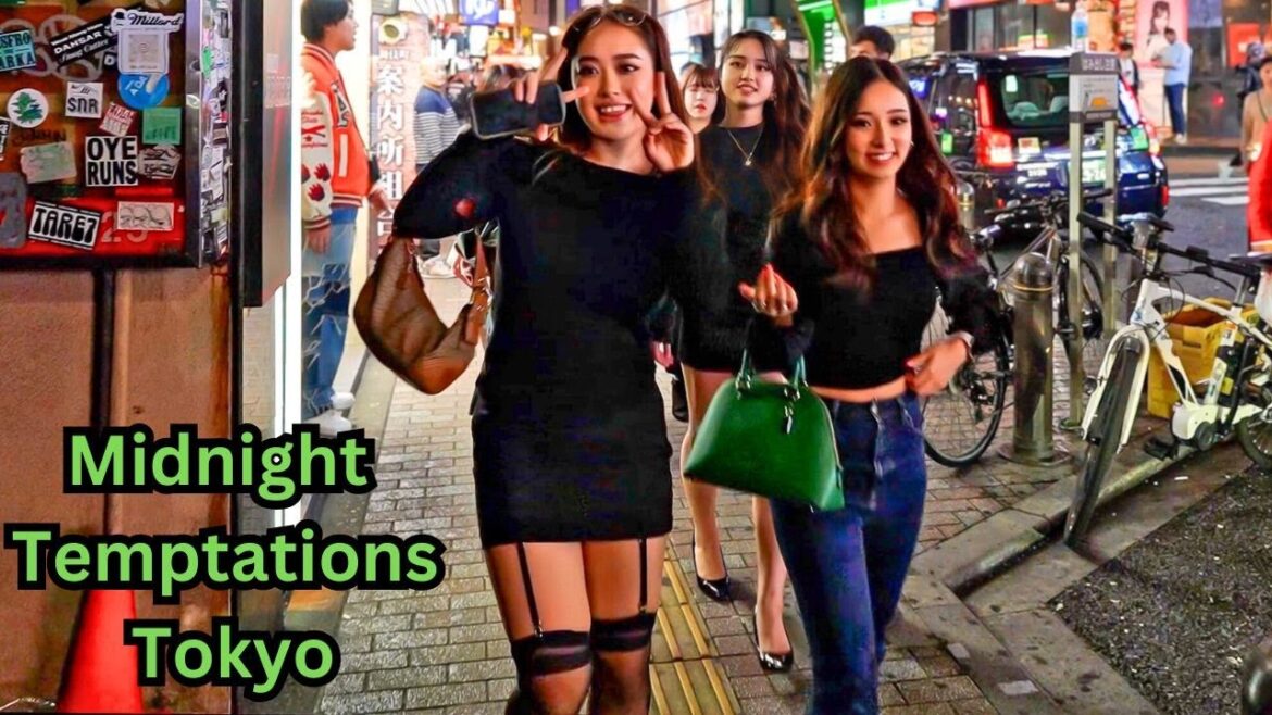 Tokyo’s Red-Light Haven: Kabukicho’s Untold Stories After Dark Tokyo’s Red-Light Haven: Kabukicho’s Untold Stories After Dark