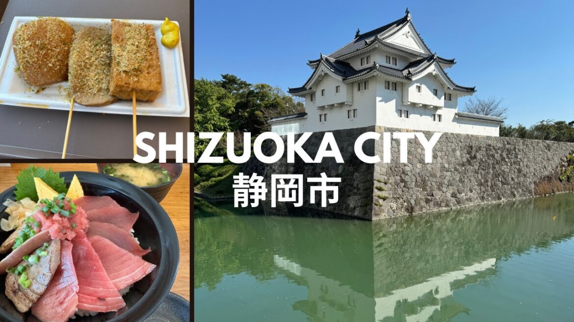 Shizuoka City Japan Travel π―π΅ | Seafood, local food, Castle Town, Mt Fuji Views Shizuoka City Japan Travel π―π΅ | Seafood, local food, Castle Town, Mt Fuji Views