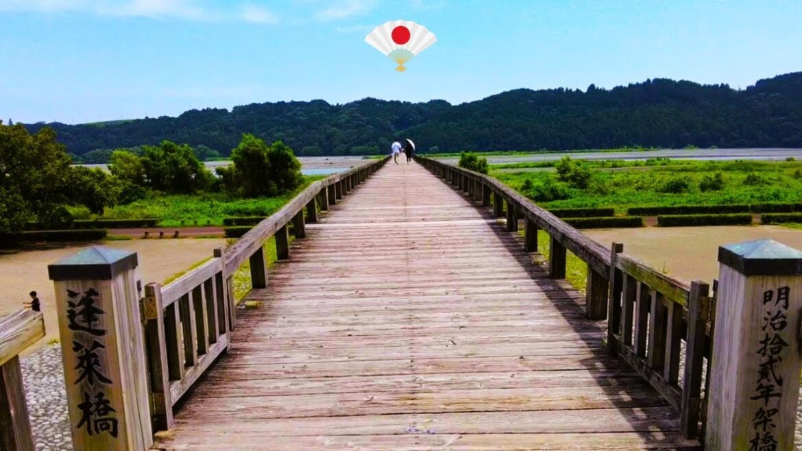 【Vlog: Shizuoka】 I will introduce beautiful rice field art and wooden architecture.