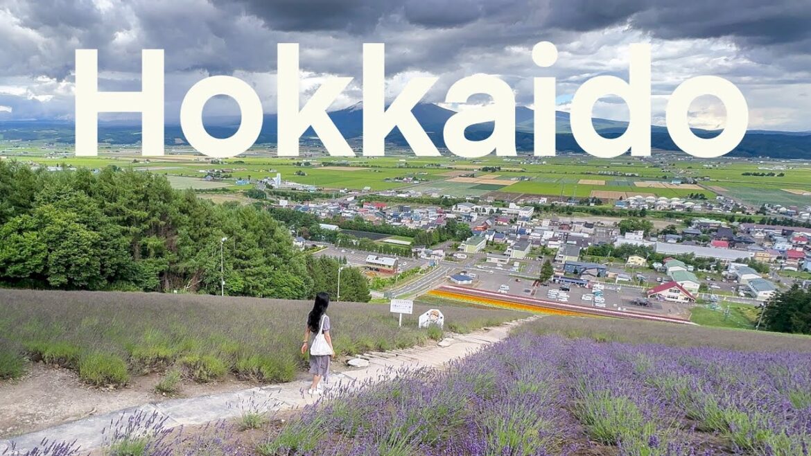 🇯🇵 Hokkaido - Furano 富良野 | lavender fields, cheese factory, tomita melon, blue pond, sukiyaki