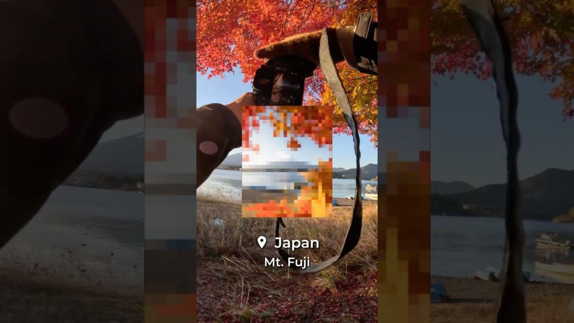 BEST Japan AUTUMN PHOTO spot! #autumn #photography