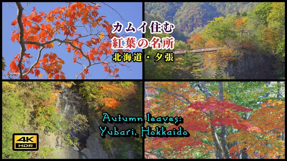 カムイ住む紅葉の絶景～北海道・夕張  Spot for viewing autumn leaves   #紅葉 #autumnleaves #夕張  #北海道 #Hokkaido #観光 #カムイ