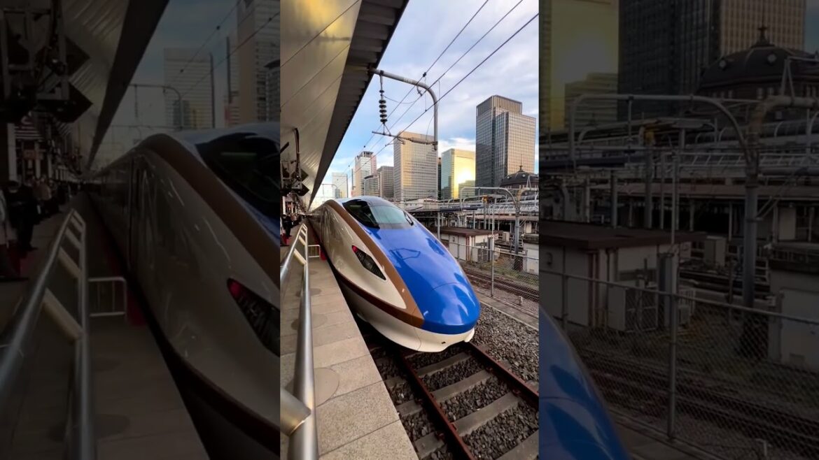 Travel with Shinkansen #shinkansen #travel #youtubeshorts