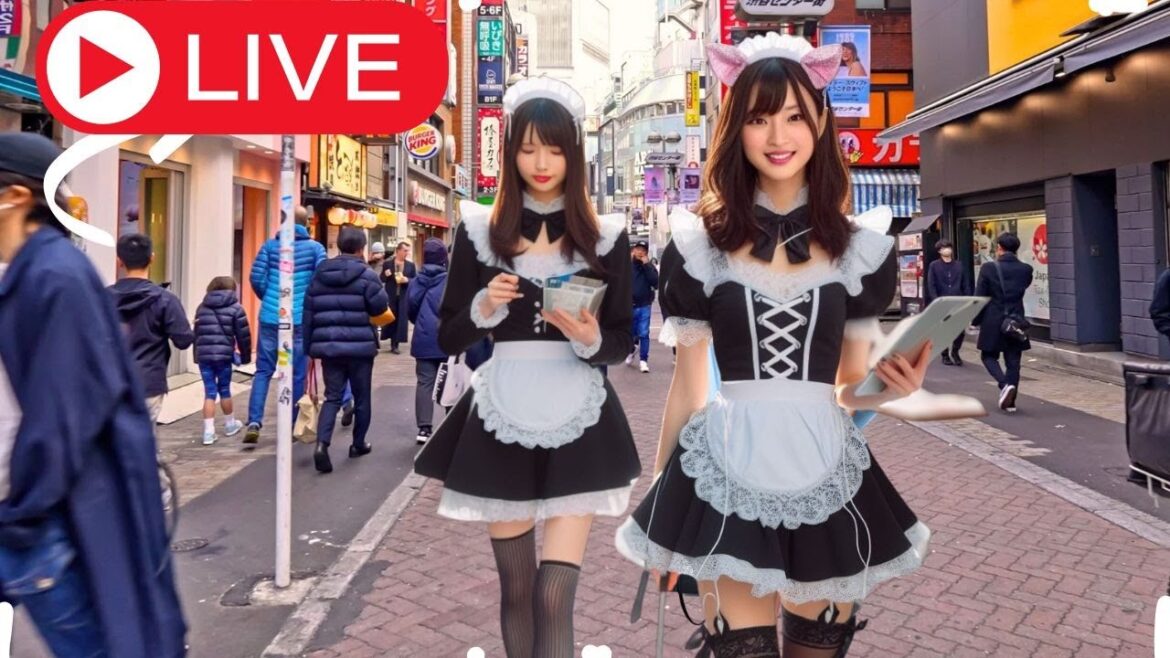 Tokyo’s Ultimate Halloween Cosplay Parade Adventure Tokyo's Ultimate Halloween Cosplay Parade Adventure