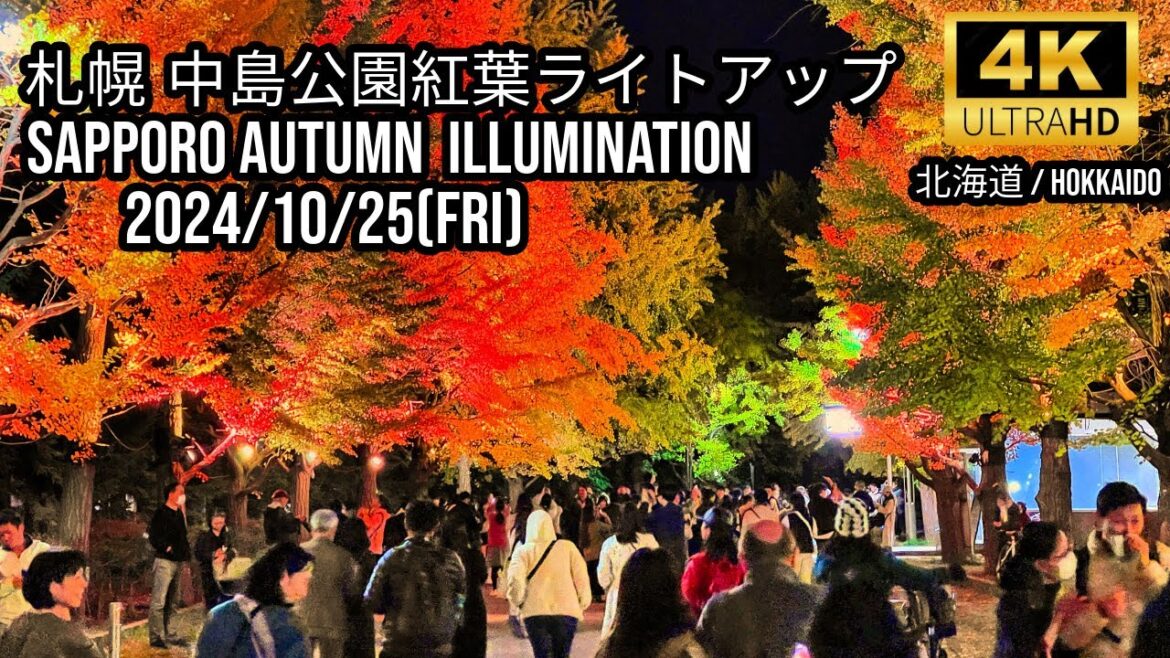 [Hokkaido] 札幌 中島公園紅葉ライトアップ 2024🇯🇵Sapporo Autumn  illumination 2024
