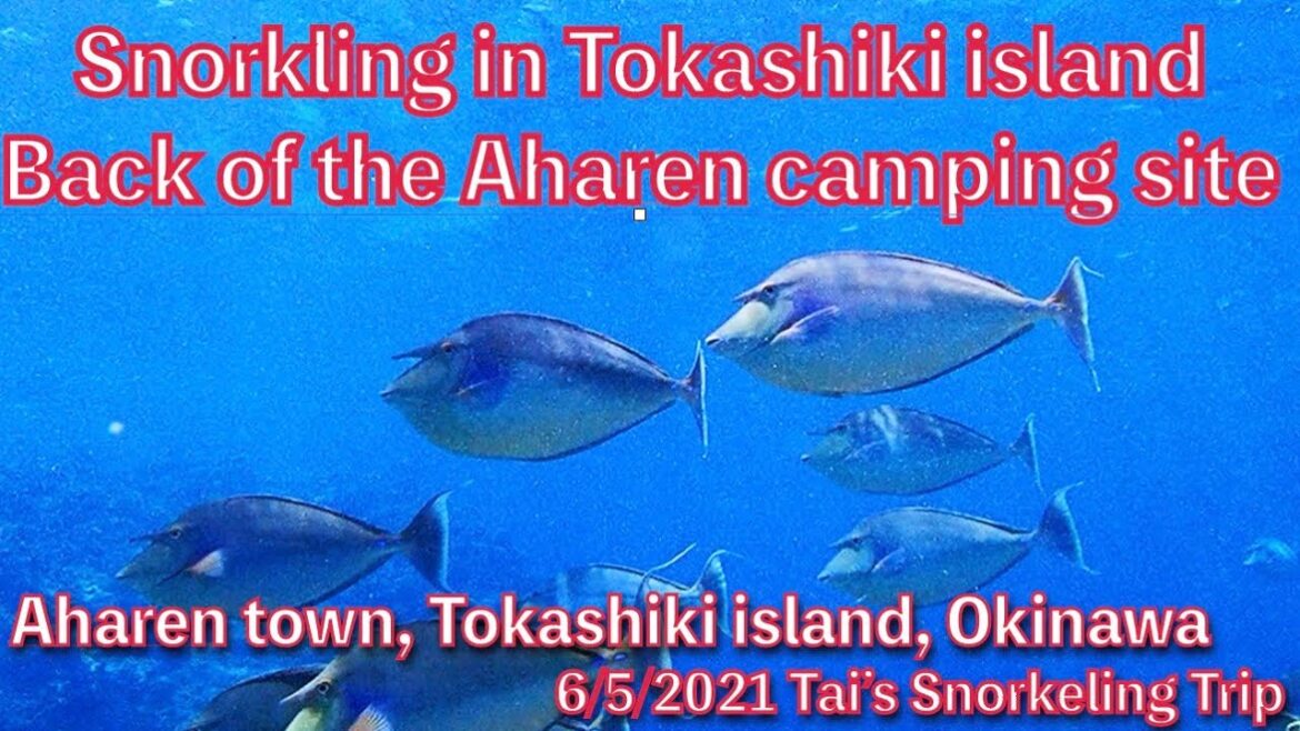【#40 Tai’s Snorkeling Trip in Okinawa】Backside of Aharen camping site, Tokashiki island, Okinawa