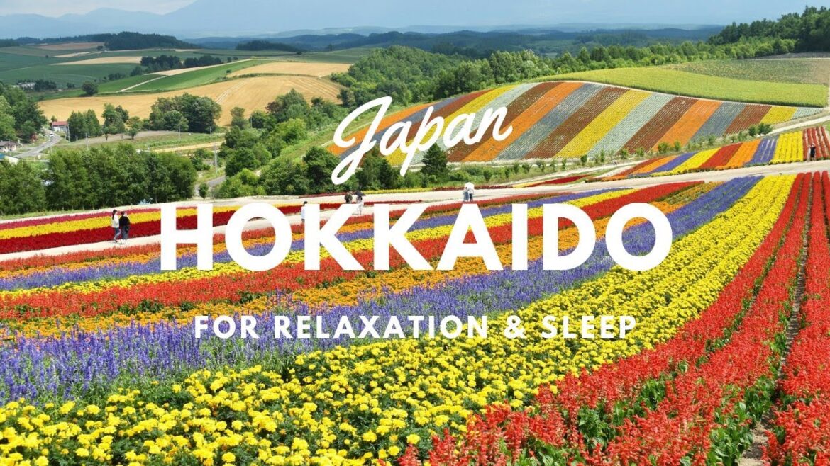 The Wonders of Hokkaido – A Journey Through Nature, History, and Food The Wonders of Hokkaido – A Journey Through Nature, History, and Food