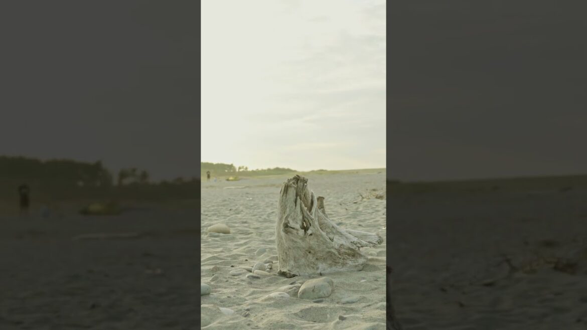 Fabulous day at Nakatajima Sand Dunes, Hamamatsu, Japan 🗾.   #cinematic #film #sony #japan