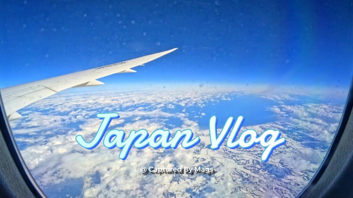 Tokyo Haneda to Sapporo with ANA | Winter Otaru Aquarium | Revolving Sushi | Hokkaido Lamb BBQ ✈️🐠🍣🍖