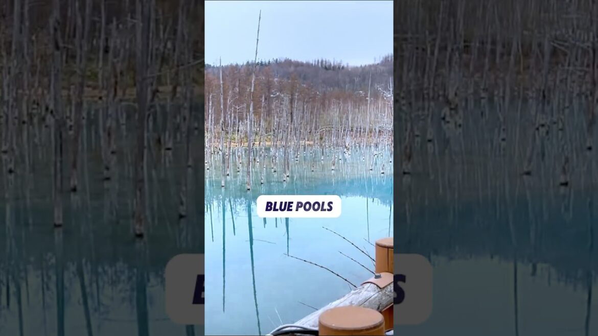 STOP Visiting Tokyo and Kyoto, Try These Instead!