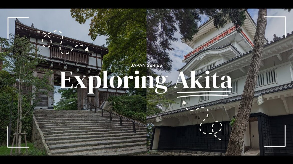 Exploring Akita | Japan Travel Vlog | Senshu Park, Nokkedon, Gashapon