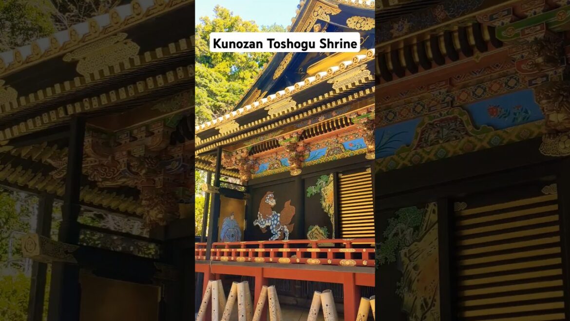 Kunozan Toshogu Shrine, Shizuoka, Japan - 1159 stone steps to hike! 久能山東照宮 #travel #japan #shizuoka
