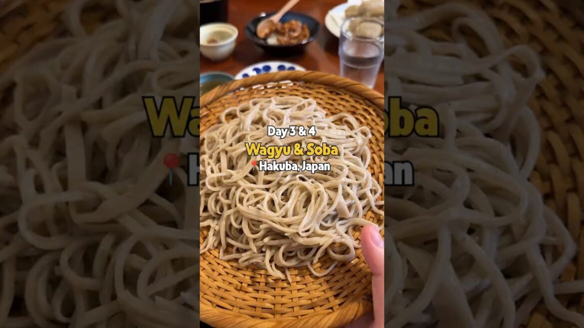 We made this rookie mistake for eating in Japan…but we’d happily make this mistake! #shorts #japan We made this rookie mistake for eating in Japan...but we'd happily make this mistake! #shorts #japan