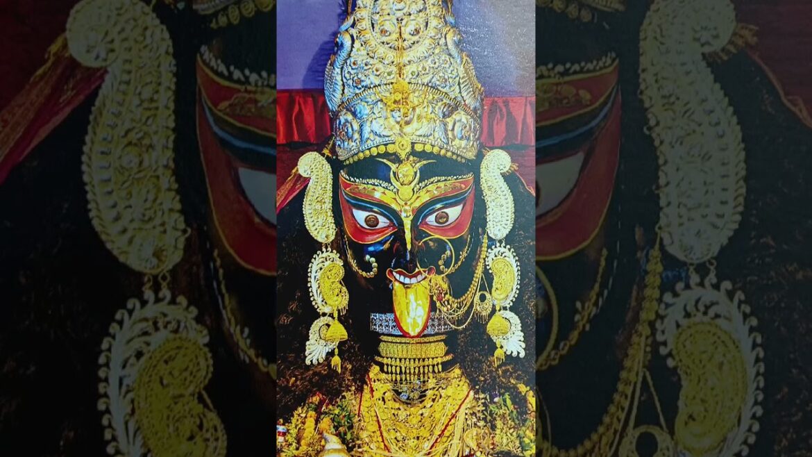 নৈহাটী বড়মা পূজার সময়সূচী 2024 | Naihati Boro Maa Puja Timing 2024 | #shorts #youtubeshorts #kali নৈহাটী বড়মা পূজার সময়সূচী 2024 | Naihati Boro Maa Puja Timing 2024 | #shorts #youtubeshorts #kali