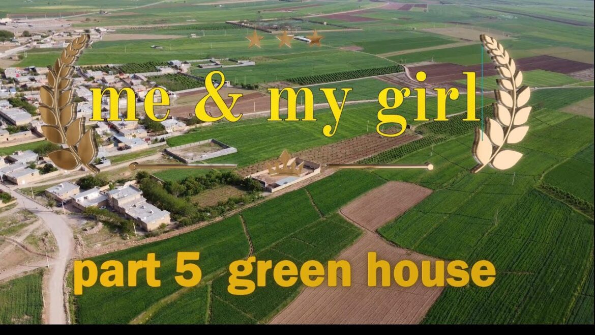 "Heritage Seeds: Our Colorful Journey in the Greenhouse"