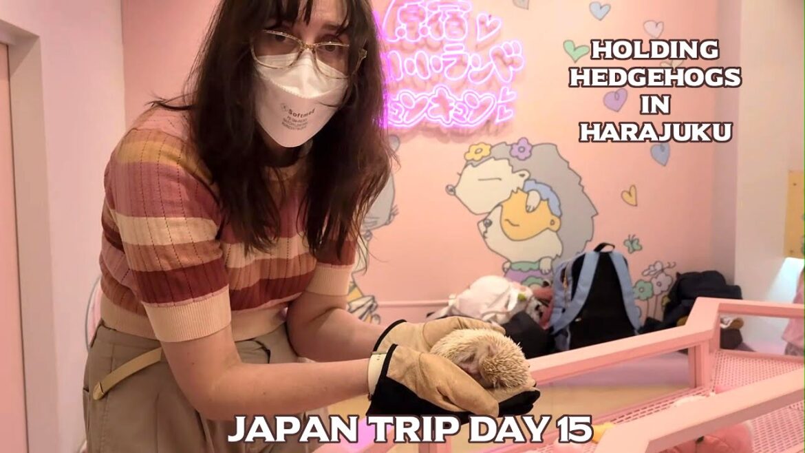 Holding Hedgehogs in Harajuku! - Japan Trip - Day 15