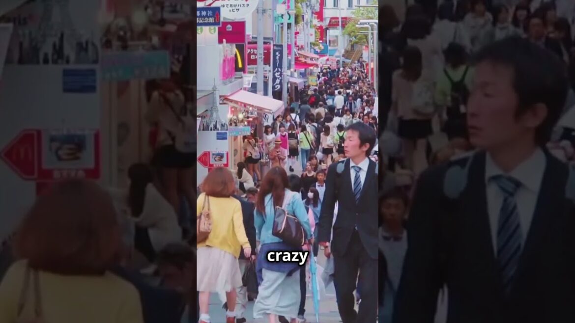 3 Must Visit Places in Japan 🇯🇵