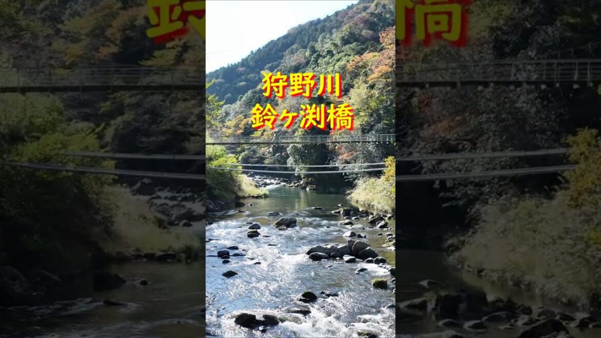 鈴ヶ渕橋 #shorts 鈴ヶ渕橋 #shorts