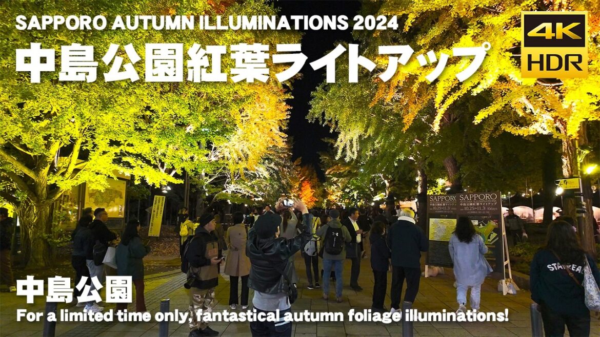 🇯🇵中島公園紅葉ライトアップ SAPPORO AUTUMN ILLUMINATIONS 2024 散歩／日本 北海道 札幌市 中央区 [4K HDR Binaural ASMR]
