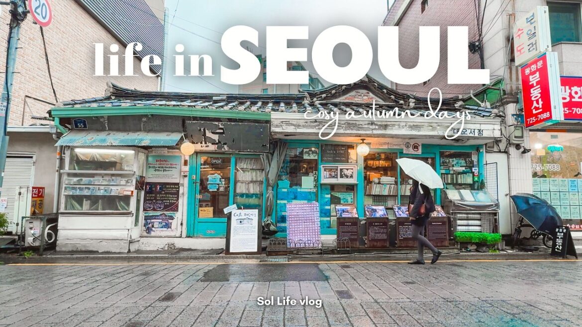 Cosy Autumn days in Seoul, Korea | Cafe hopping, Shopping, Oldest bookstore, Rainy days, Haneul Park