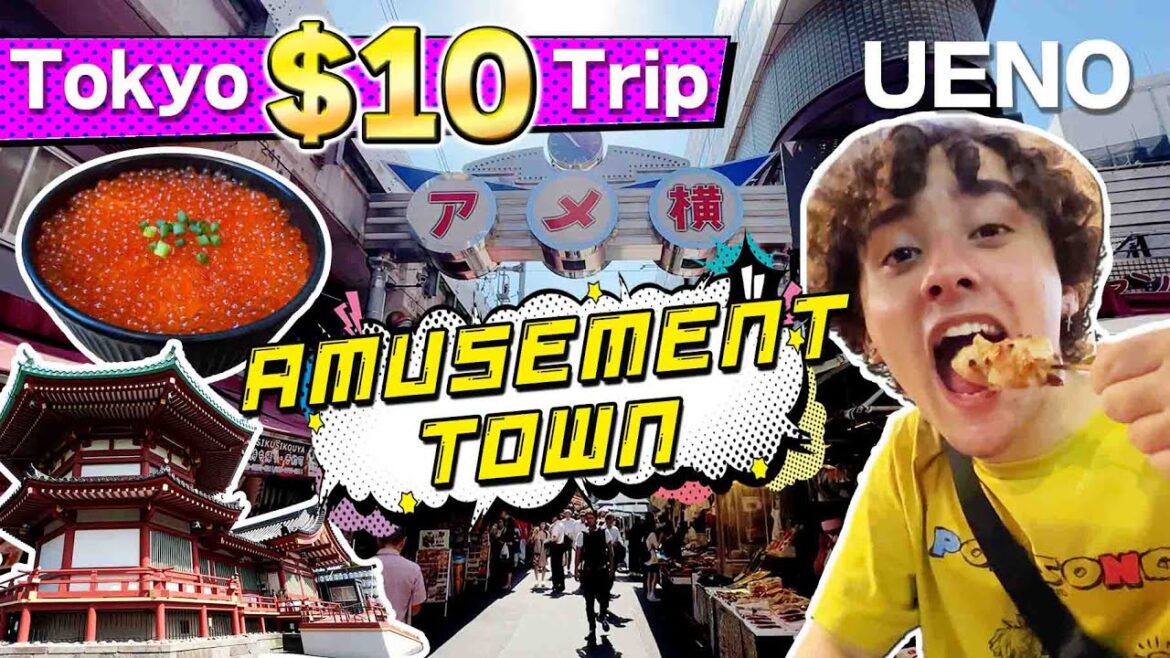 $10 Challenge in the Amusement Town "UENO". #10dollar #tokyo #streetfood