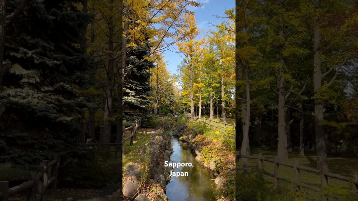 Nakajima Park (中島公園) Sapporo, Japan – October 26, 2024 Nakajima Park (中島公園) Sapporo, Japan - October 26, 2024