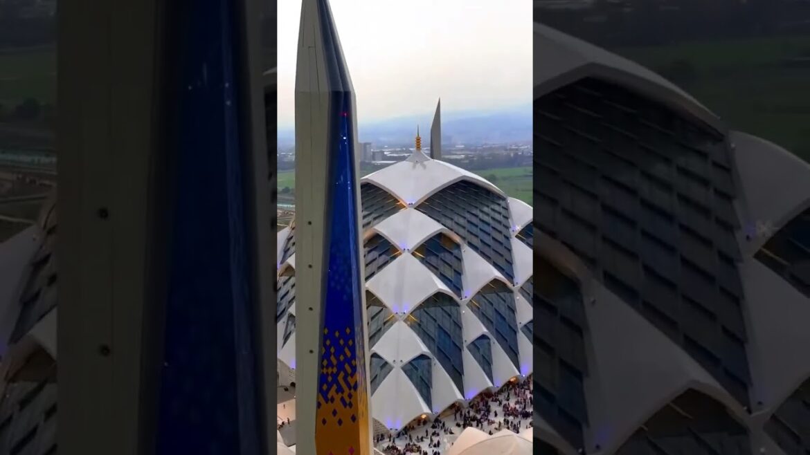 Hokkaido's Natural Splendor: A Quest for Tranquility #japan #shorts