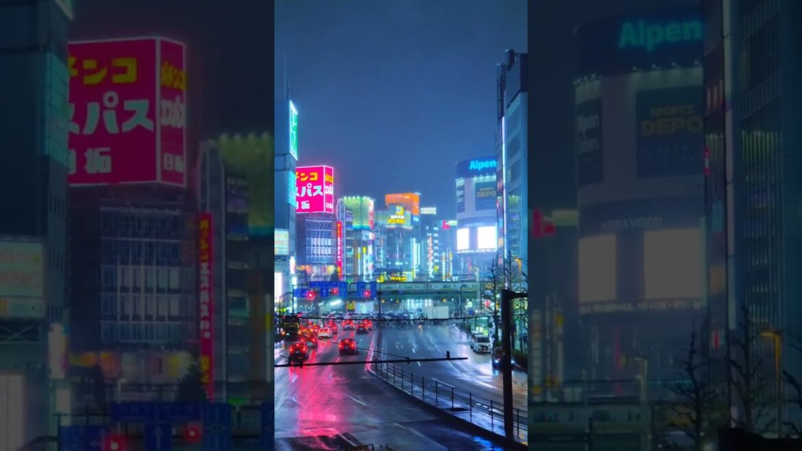 Kyoto's Heritage: The Essence of Ancient Culture #travel #shorts