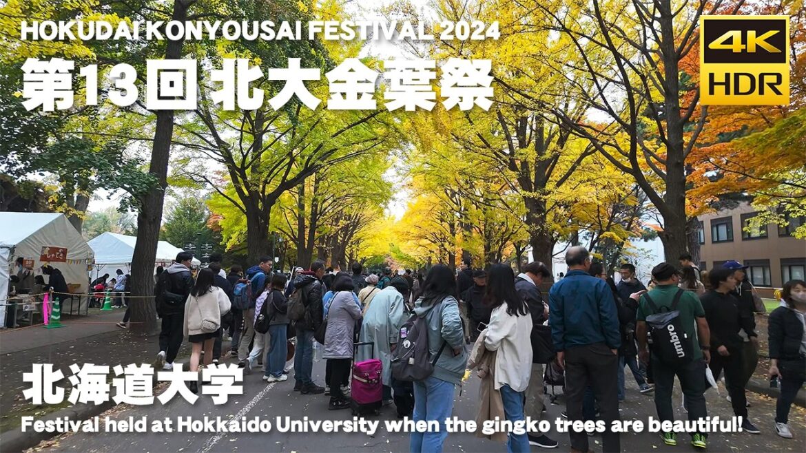 🇯🇵第13回 北大金葉祭 散歩／日本 北海道 札幌市 北区 北海道大学 [4K HDR Binaural ASMR]