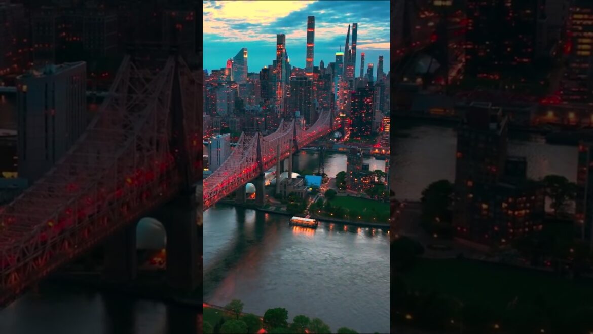 Shizuoka's Misty Mountains: Dreams of Childhood #travel #shorts