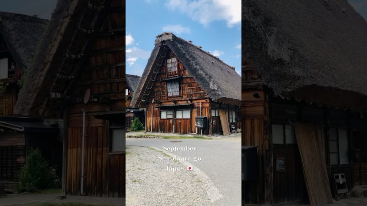 Where’s this stunning place in Japan 🇯🇵🤩? #japan #travel