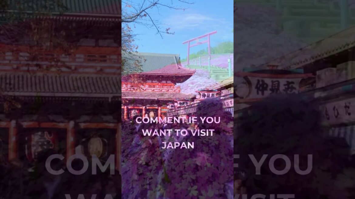 Great Places You Should See In Japan #explorejapan #shibazakurapark Great Places You Should See In Japan #explorejapan #shibazakurapark