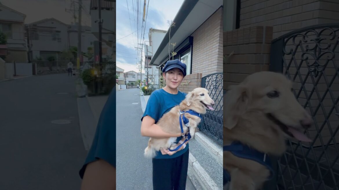 Okayama To Osaka - Journey To See A Friend! #shorts #japan