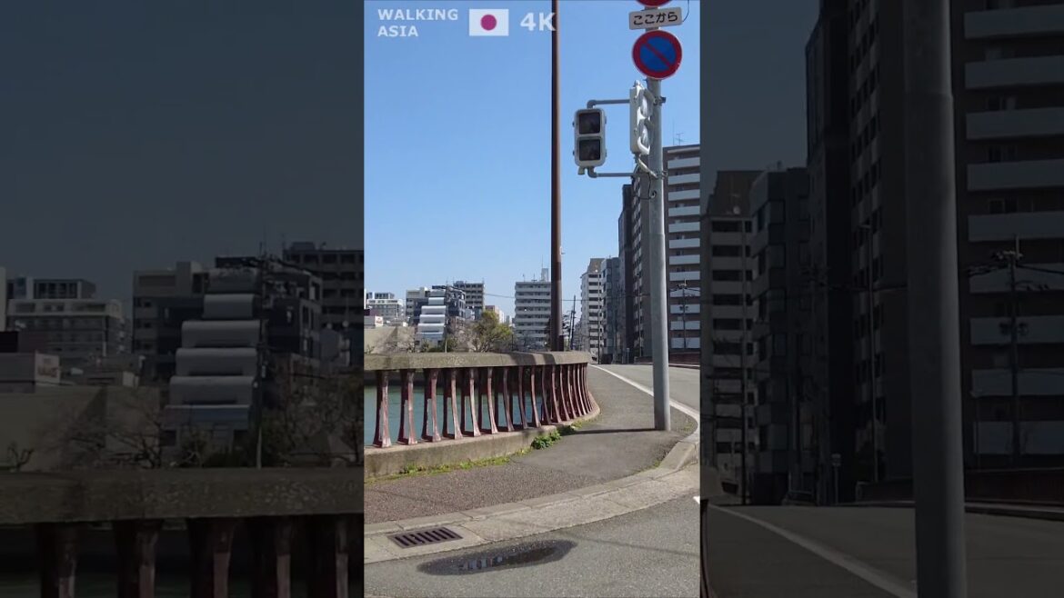 🇯🇵 Experience #Fukuoka in #Japan with us! #Shorts