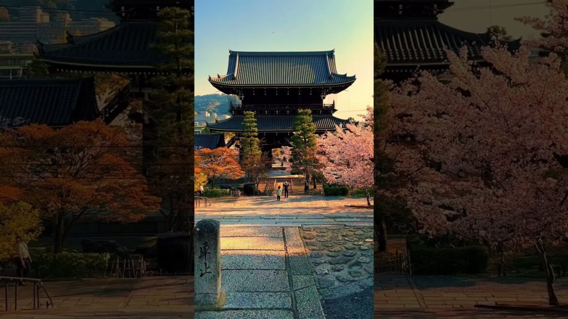 Places On Earth That Don't Feel Real in Japan #travel #nature #adventure