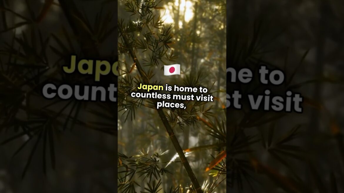 Must-Visit Places in Japan #Japanese  #travel