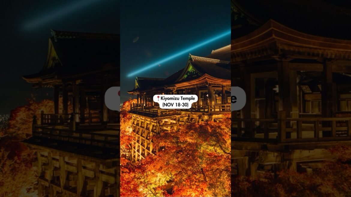 BEST THINGS to DO & SEE in KYOTO in NOVEMBER #japan #kyoto #kyototrip #kyototravel BEST THINGS to DO & SEE in KYOTO in NOVEMBER #japan #kyoto #kyototrip #kyototravel